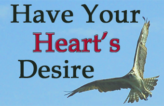 Have Your Heart's Desire: Tools for a Wealthier, Healthier, Happier Life